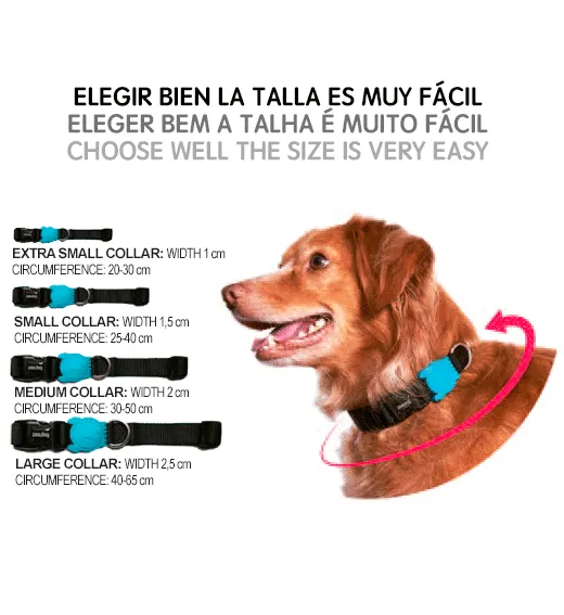 Zee.Dog Solaris Collar